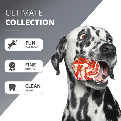 10-Pack Dog Rope Toys: Chew and Interactive Toys for Puppies, Ideal for Small, Medium, and Large Dogs